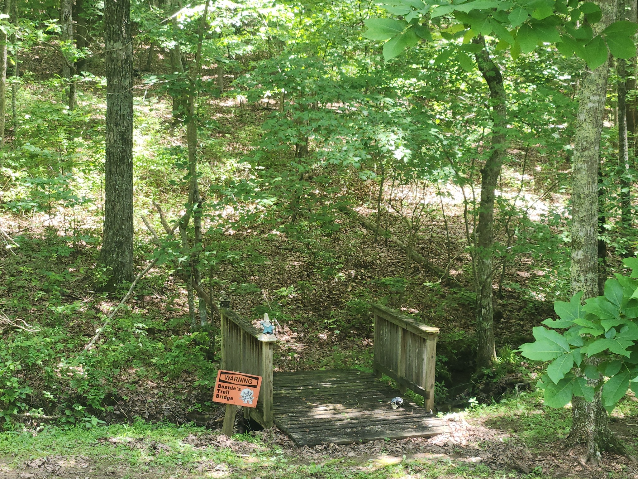 807 Timberwood Trace Monteagle, TN 37356 - Photo 64 of 64 a backyard of a house with lots of green space and a fountain