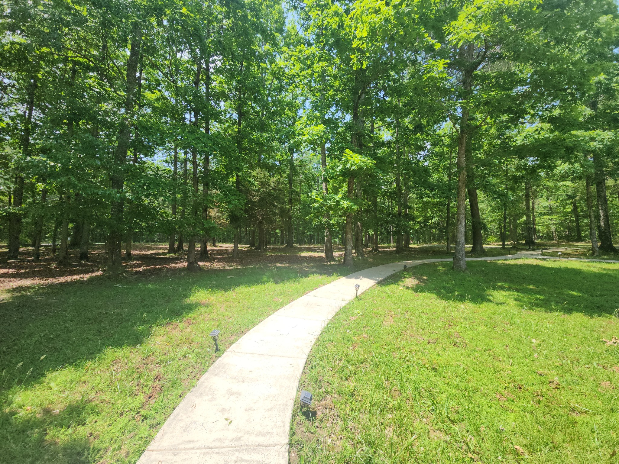 807 Timberwood Trace Monteagle, TN 37356 - Photo 7 of 64