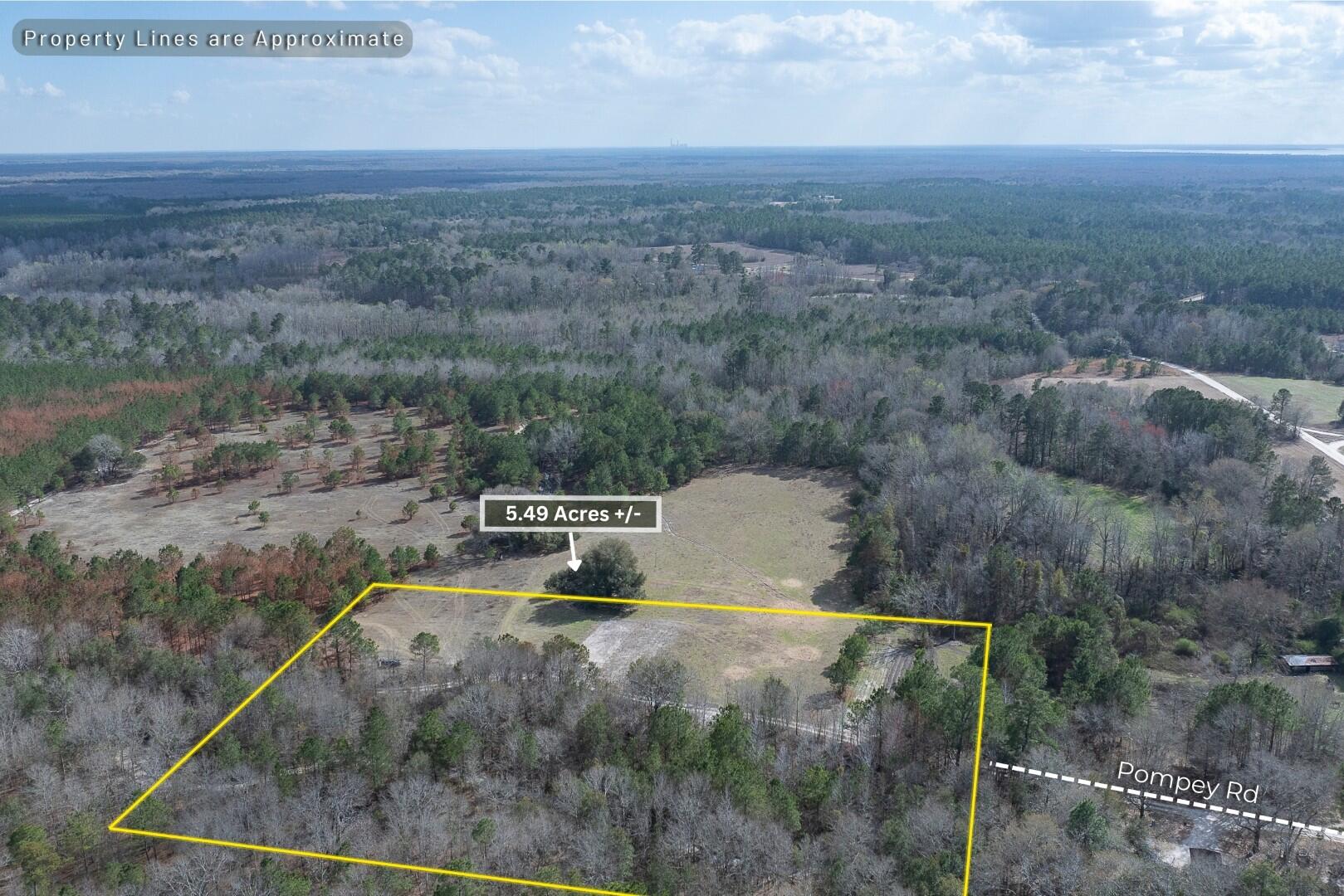 2 Pompey Road Manning, SC 29102 - Photo 4 of 40