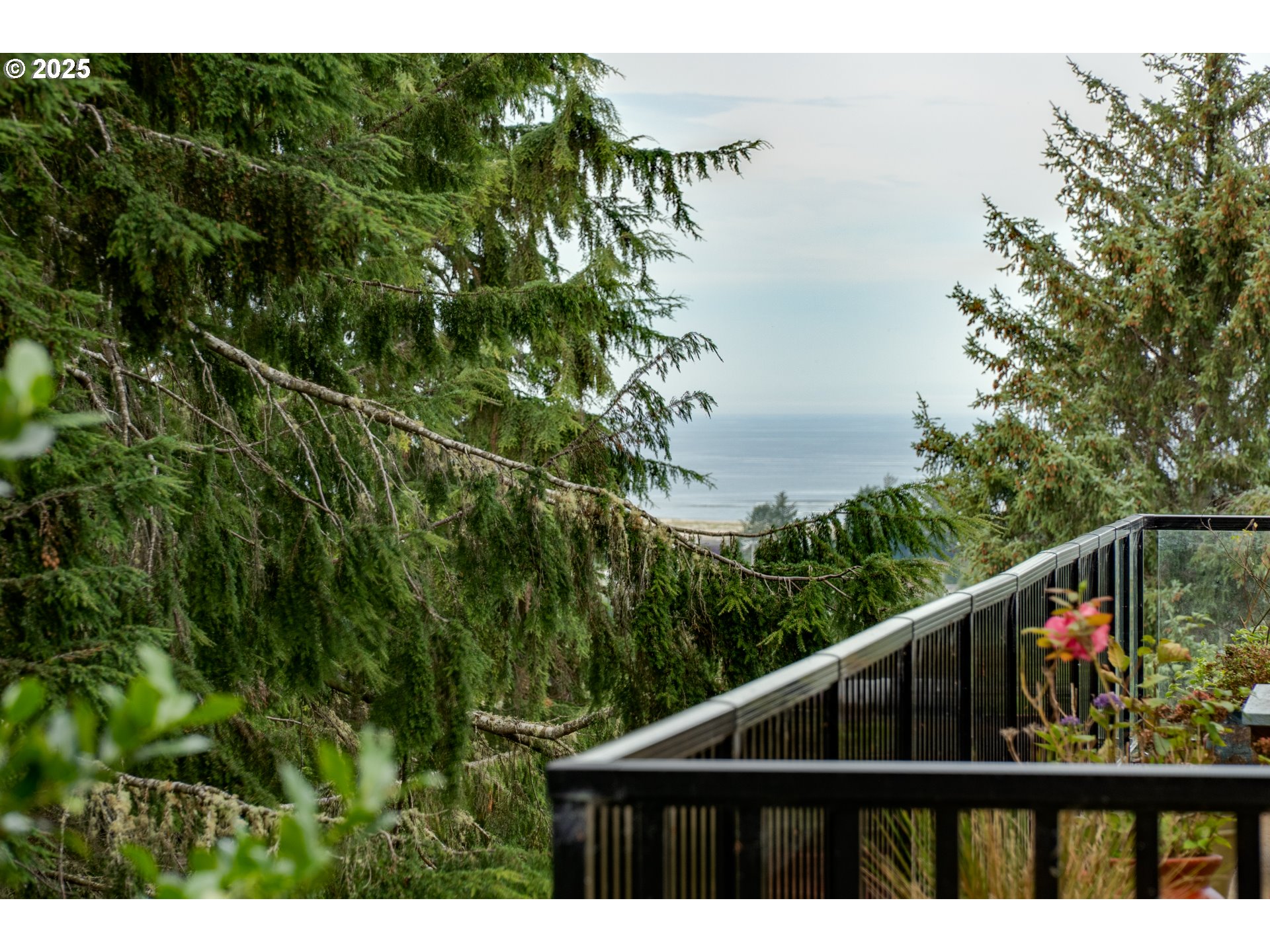 2344 Royal View Drive Seaside, OR 97138 - Photo 17 of 38 a view of trees and sky from balcony