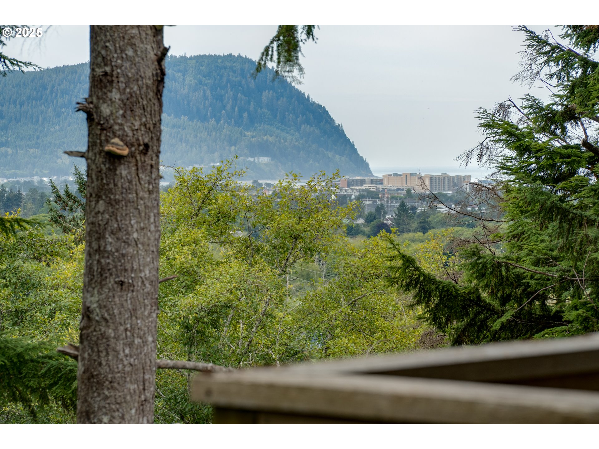 2344 Royal View Drive Seaside, OR 97138 - Photo 25 of 38 a view of a yard