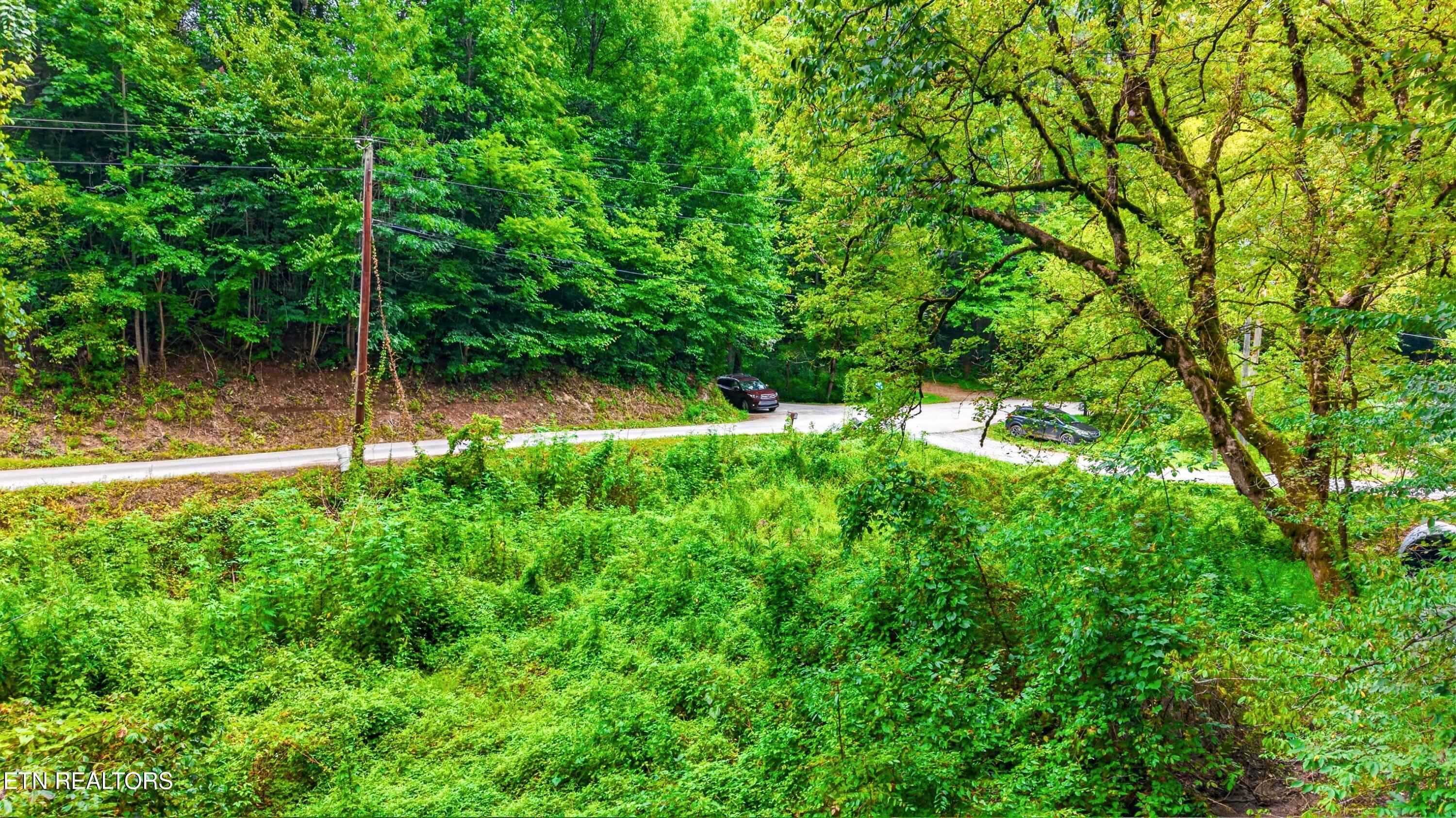 Chavis Road Cosby, TN 37722 - Photo 10 of 16 012-ChavisRoad-Cosby-TN-SMALL