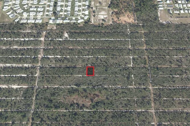 $6,500 | 533 Parrot Avenue, Sebring, FL 33872