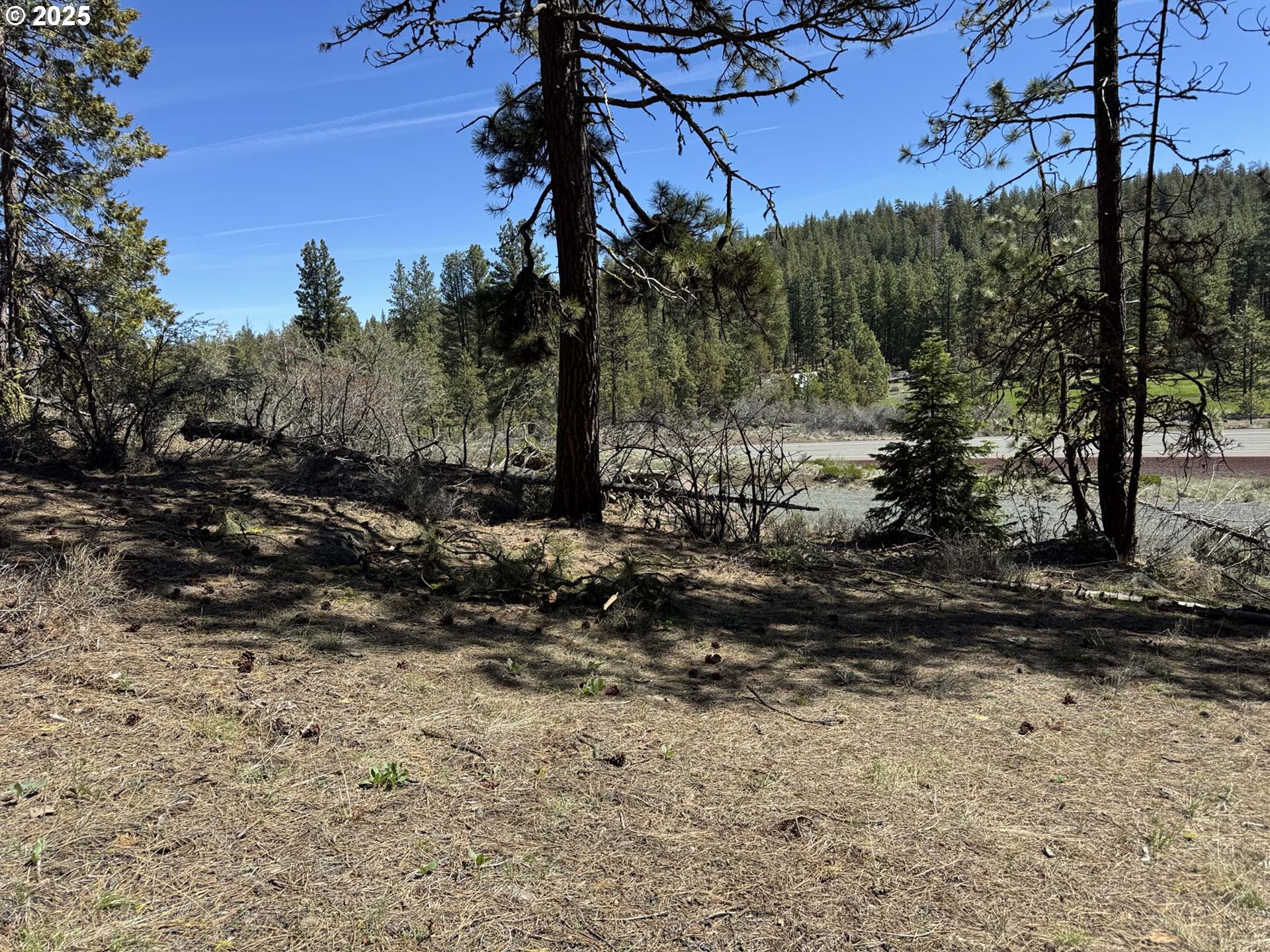Horned Owl Lane Bonanza, OR 97623 - Photo 4 of 44