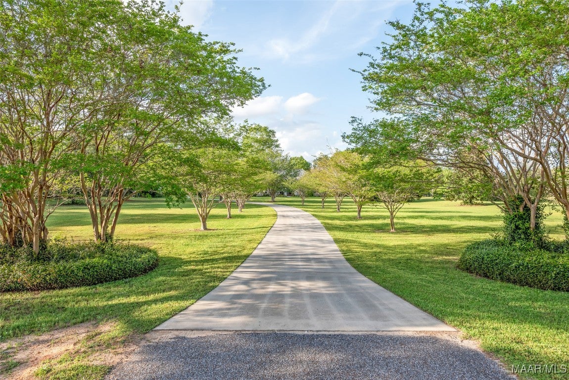358 Oak Hill Road Newton, AL 36352 - Photo 27 of 74 Gallery Image 27