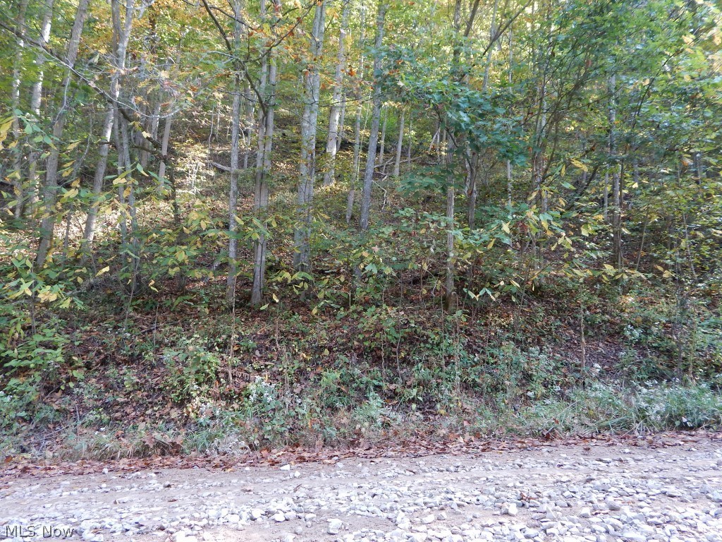 Richardsonville Road Creston, WV 26141 - Photo 13 of 22