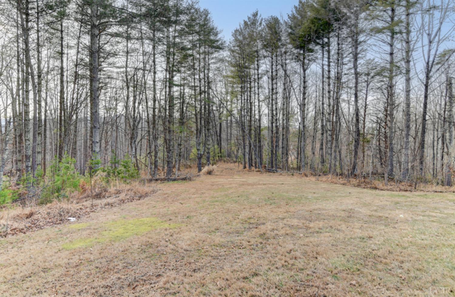 223 Cahas Mountain Road Boones Mill, VA 24065 - Photo 39 of 50 a view of outdoor space with wooden fence
