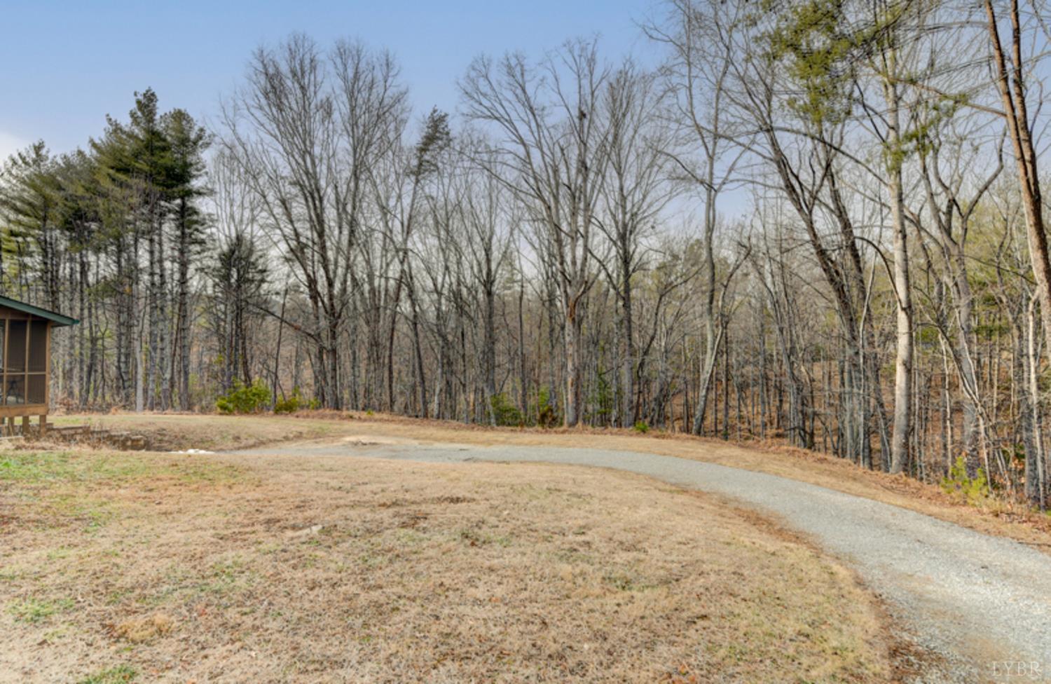 223 Cahas Mountain Road Boones Mill, VA 24065 - Photo 49 of 50 a street view with large trees