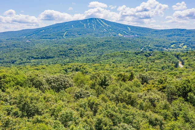 $450,000 | 4.1 Pearl Buck Drive, Winhall, VT 05340