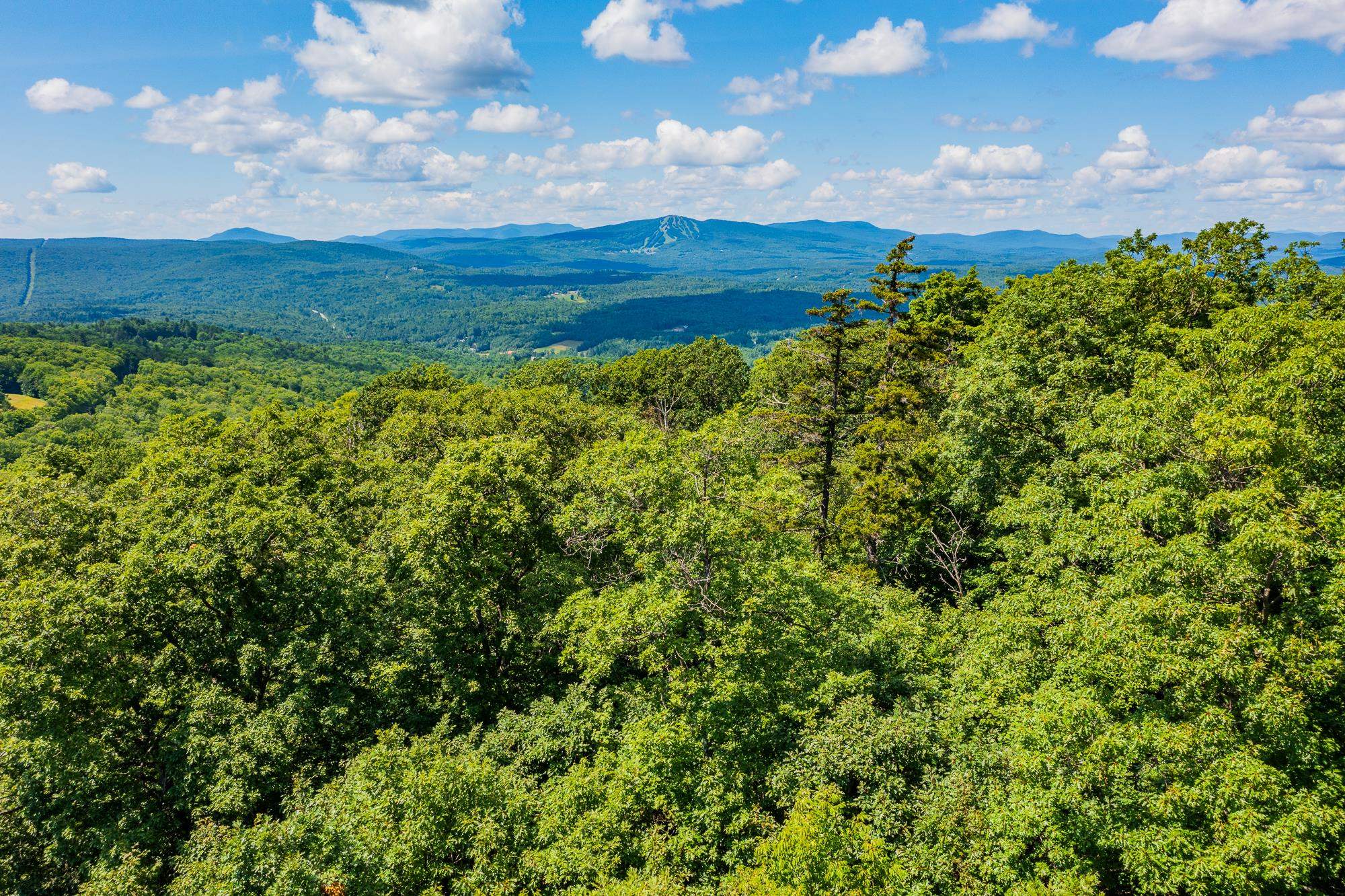 4.1 Pearl Buck Drive Winhall, VT 05340 - Photo 12 of 12