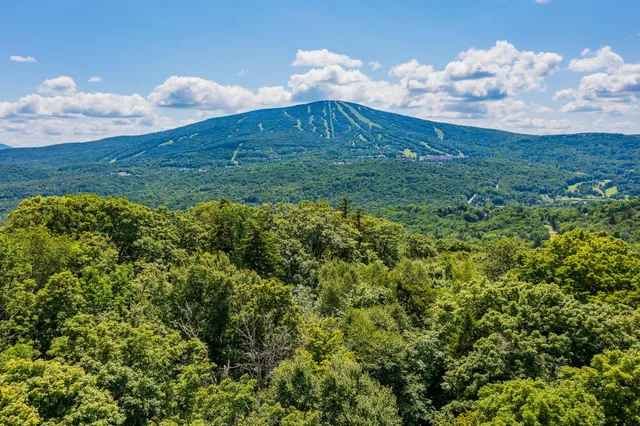 $450,000 | 4.1 Pearl Buck Drive, Winhall, VT 05340