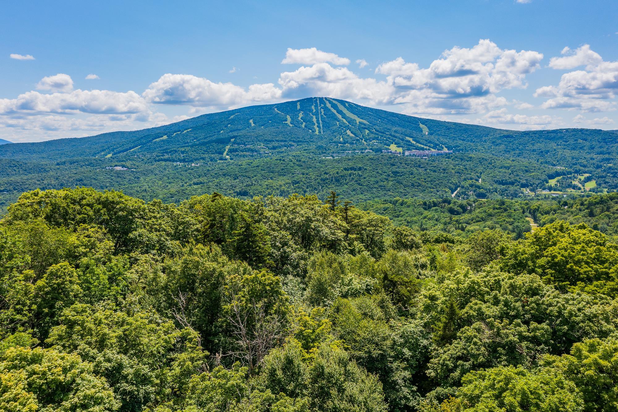 4.1 Pearl Buck Drive Winhall, VT 05340 - Photo 2 of 12