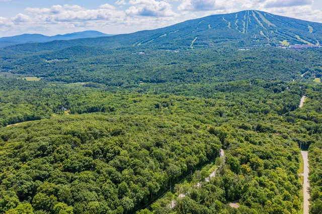 $450,000 | 4.1 Pearl Buck Drive, Winhall, VT 05340