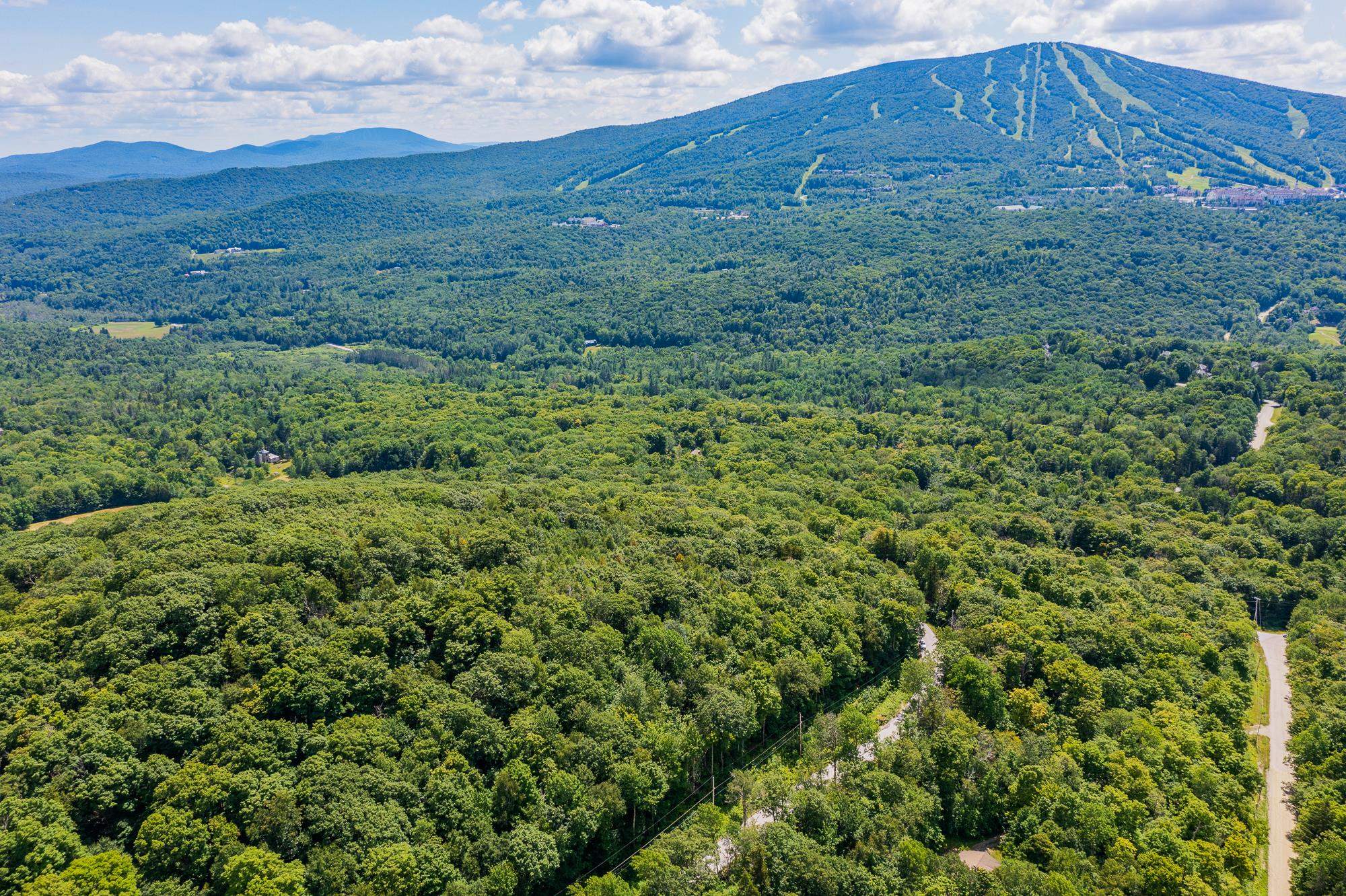 4.1 Pearl Buck Drive Winhall, VT 05340 - Photo 3 of 12