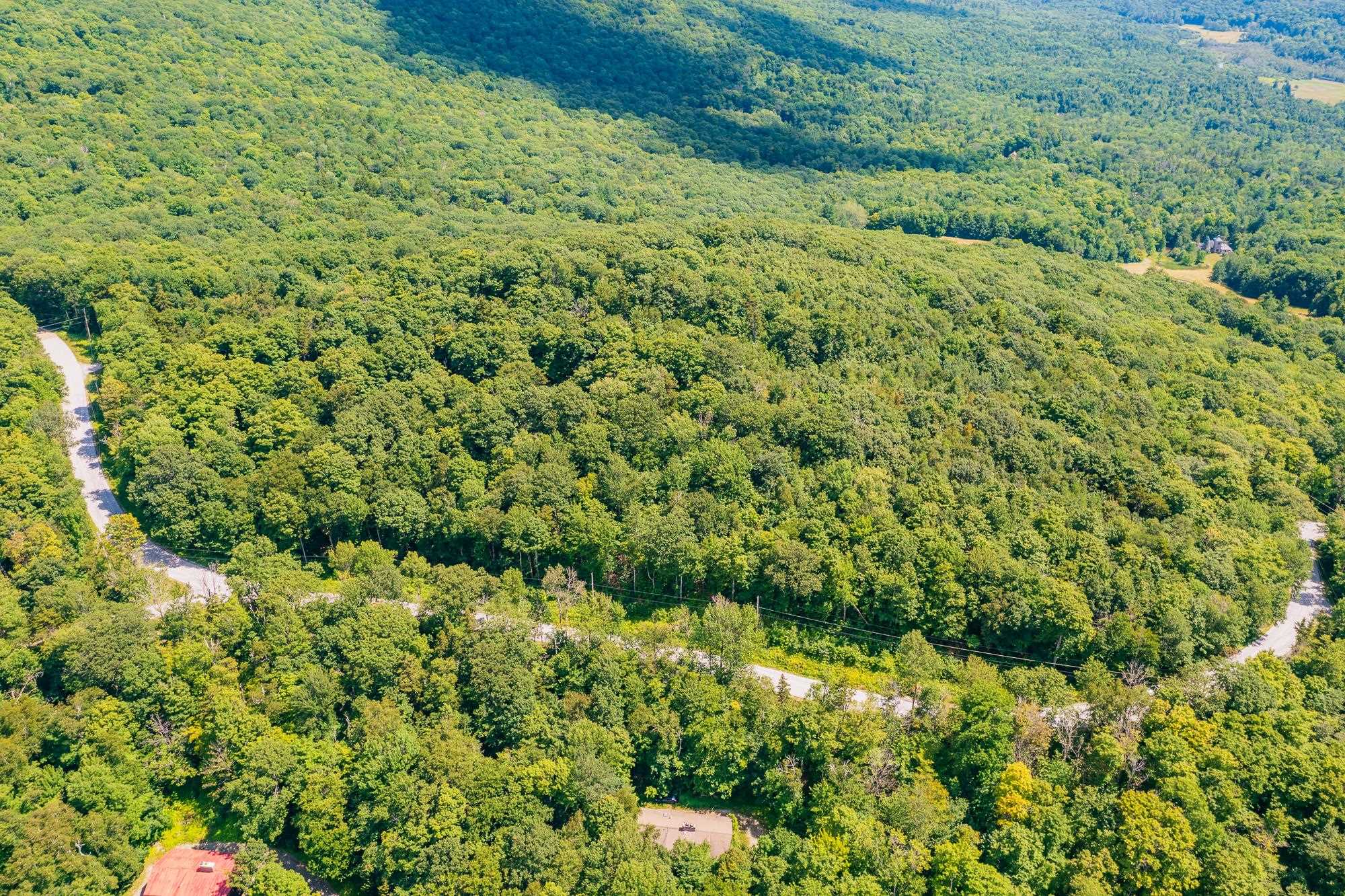 4.1 Pearl Buck Drive Winhall, VT 05340 - Photo 5 of 12