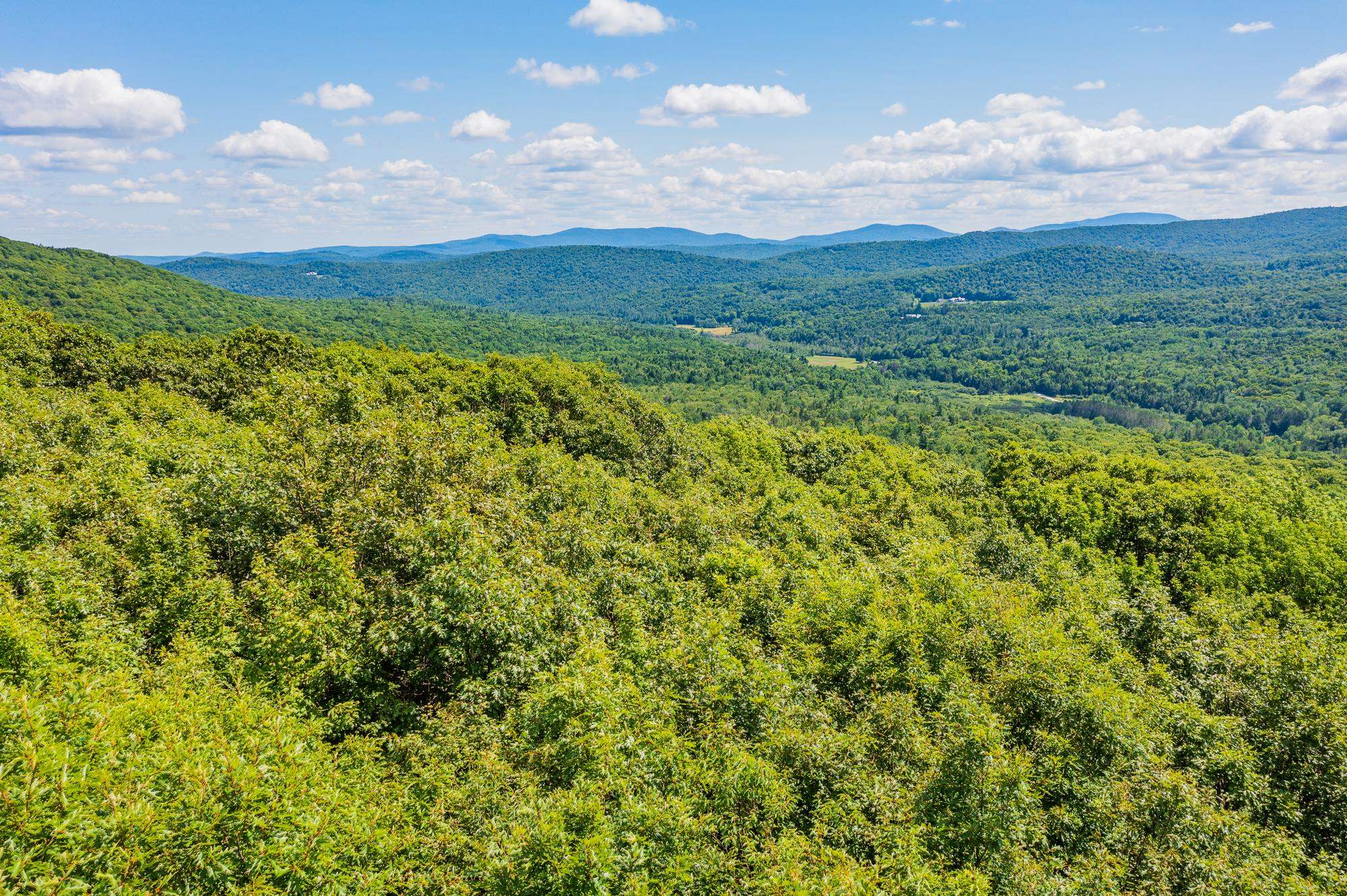 4.1 Pearl Buck Drive Winhall, VT 05340 - Photo 8 of 12