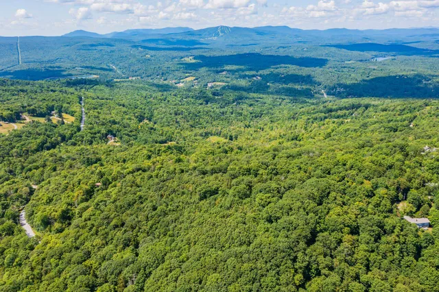 $450,000 | 4.1 Pearl Buck Drive, Winhall, VT 05340