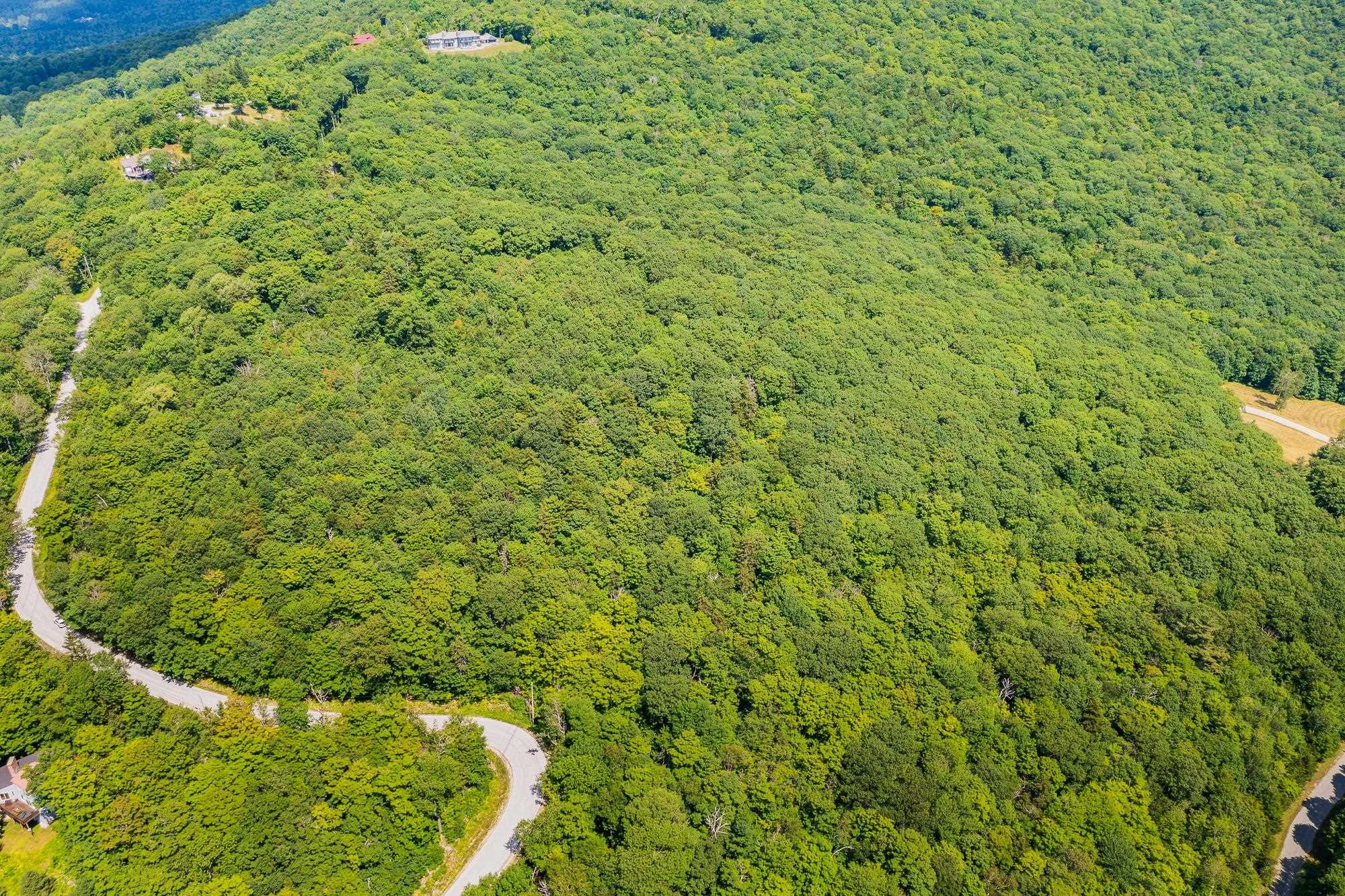 4.1 Pearl Buck Drive Winhall, VT 05340 - Photo 10 of 12