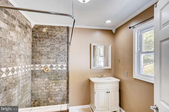 1158 Ridge Road Pylesville, MD 21132 - Photo 15 of 35 master spa bathroom