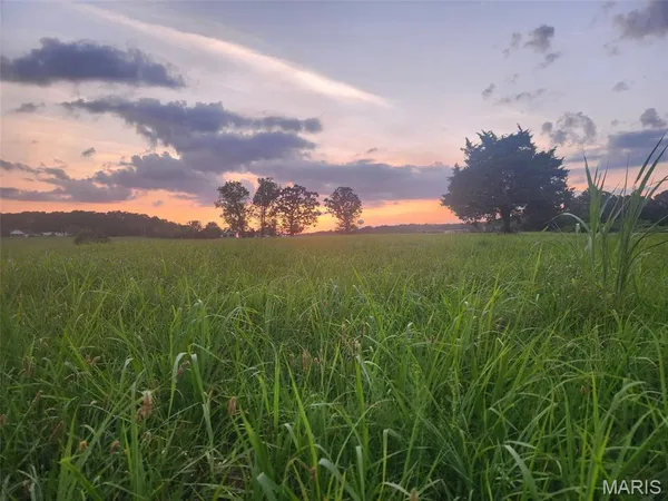 $59,999 | 10 Nikon Drive, Phillipsburg, MO 65722