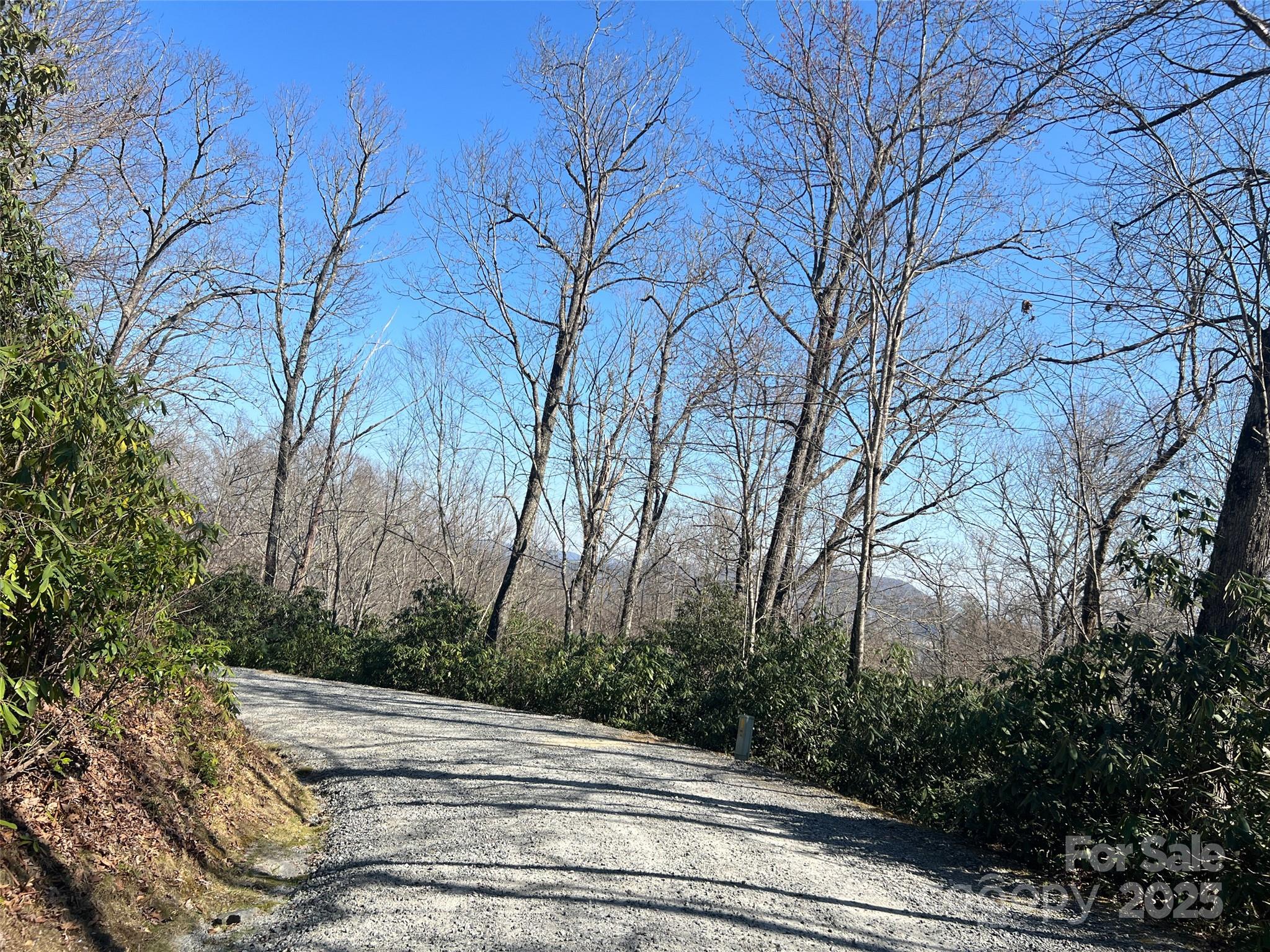 0 Reserve Road Pisgah Forest, NC 28768 - Photo 2 of 6 a view of pathway with house in background