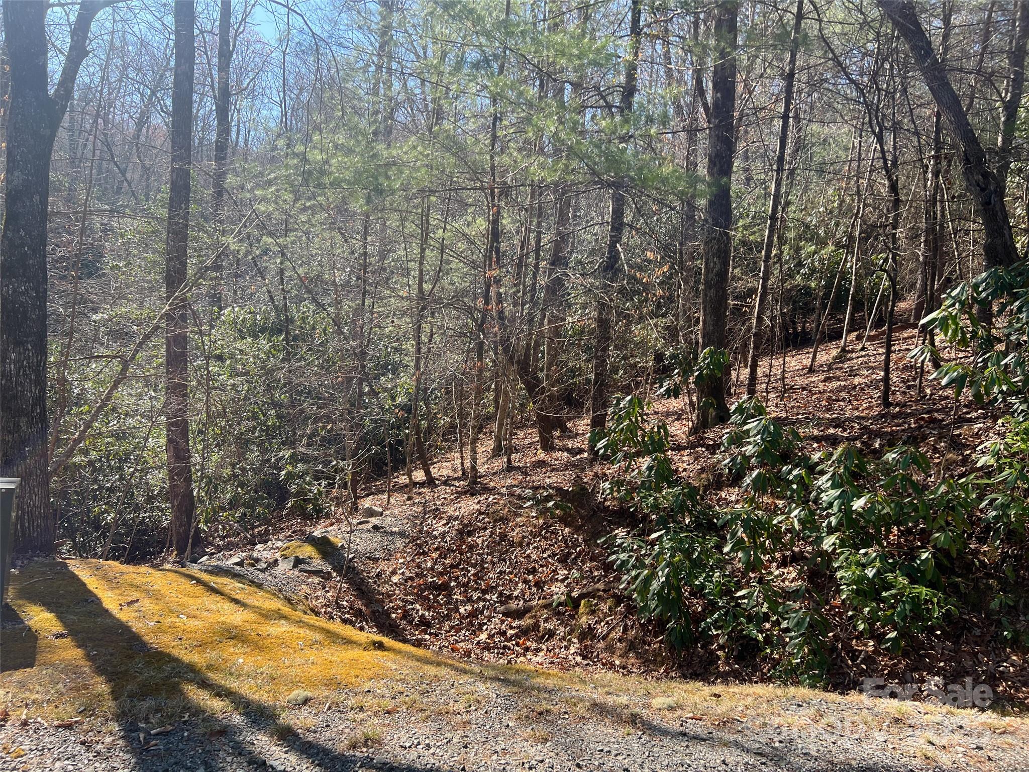 0 Reserve Road Pisgah Forest, NC 28768 - Photo 3 of 6