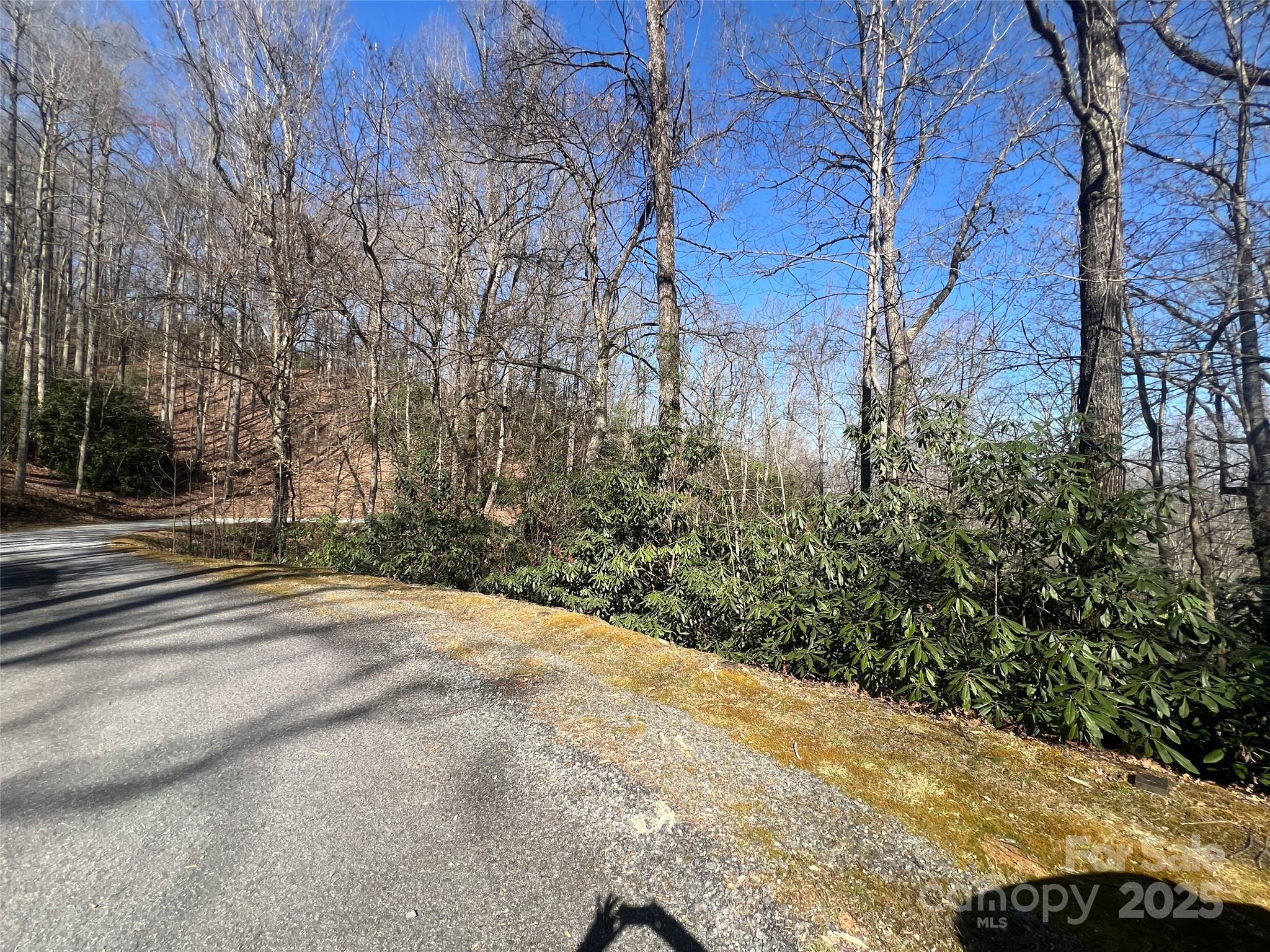 0 Reserve Road Pisgah Forest, NC 28768 - Photo 4 of 6 a view of path and trees
