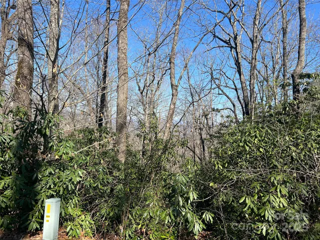 a view of a yard covered with snow in front of house