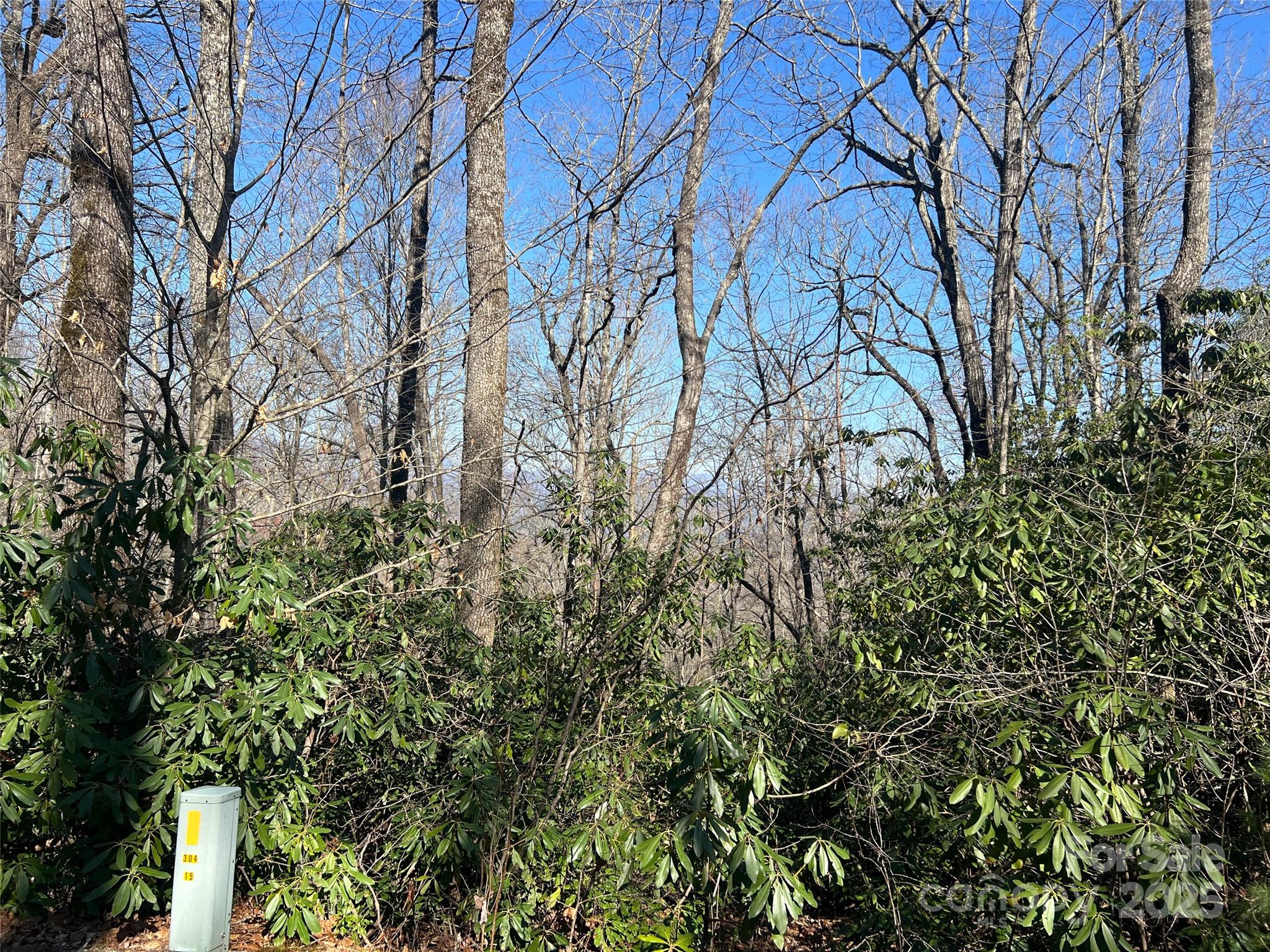 0 Reserve Road Pisgah Forest, NC 28768 - Photo 5 of 6 a view of a yard