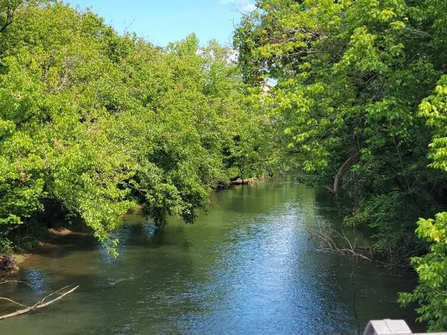 $142,000 | 0 Riverside Drive, Bassett, VA 24055