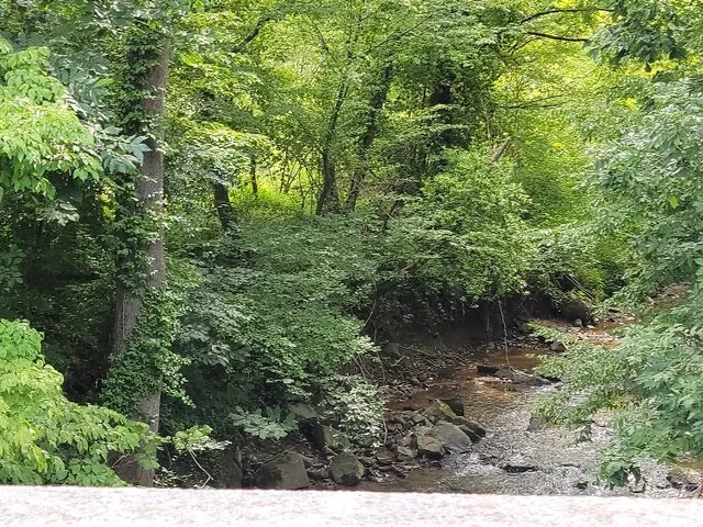 $142,000 | 0 Riverside Drive, Bassett, VA 24055