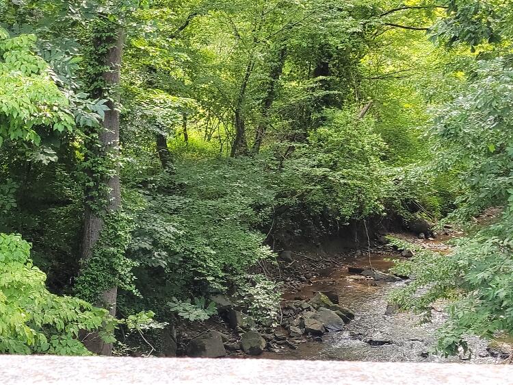 0 Riverside Drive Bassett, VA 24055 - Photo 5 of 5 Lot