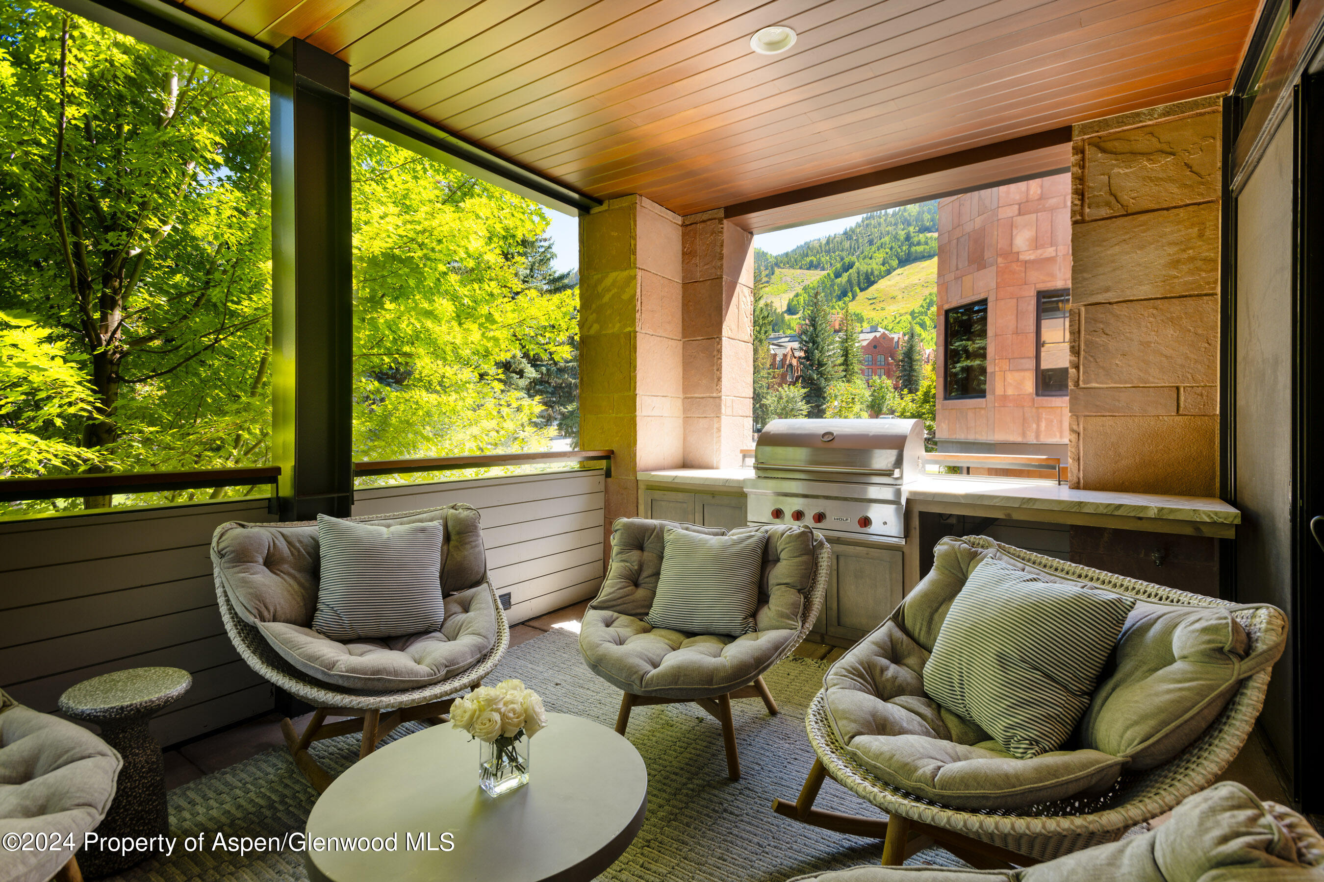 405 South Monarch Street, Unit 209 Aspen, CO 81611 - Photo 29 of 33 a living room with furniture and a large window