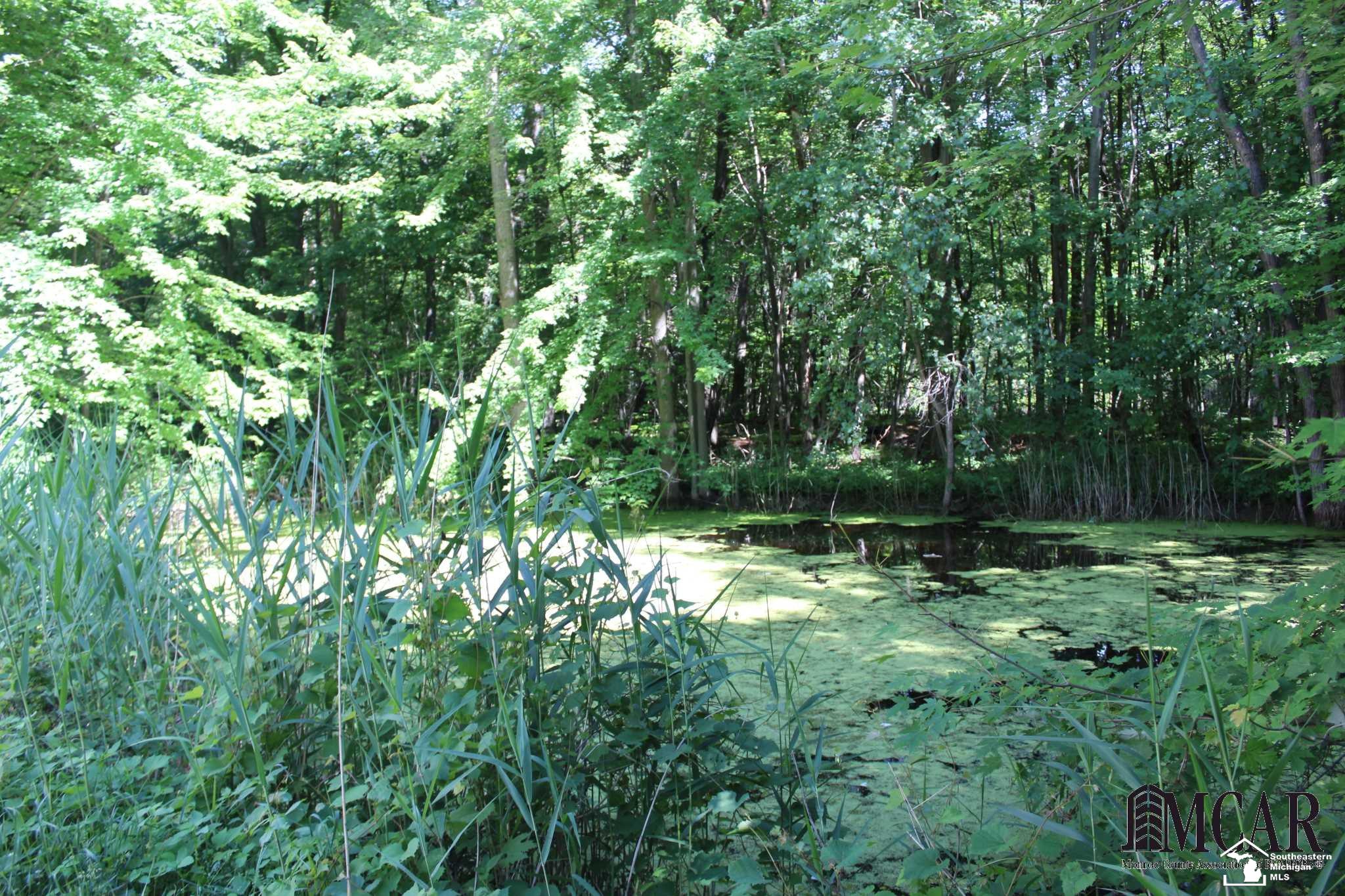 12780 West Dunbar Road Dundee, MI 48131 - Photo 10 of 35 21462748-9.JPG