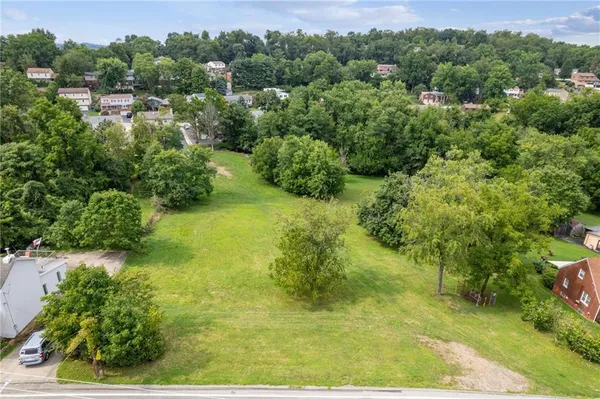 a view of a garden