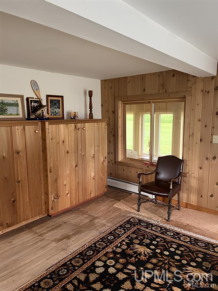 24191 East Aalto Road Covington, MI 49919 - Photo 22 of 81
