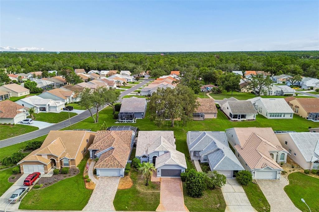 9376 French Quarters Circle Weeki Wachee, FL 34613 - Photo 68 of 87