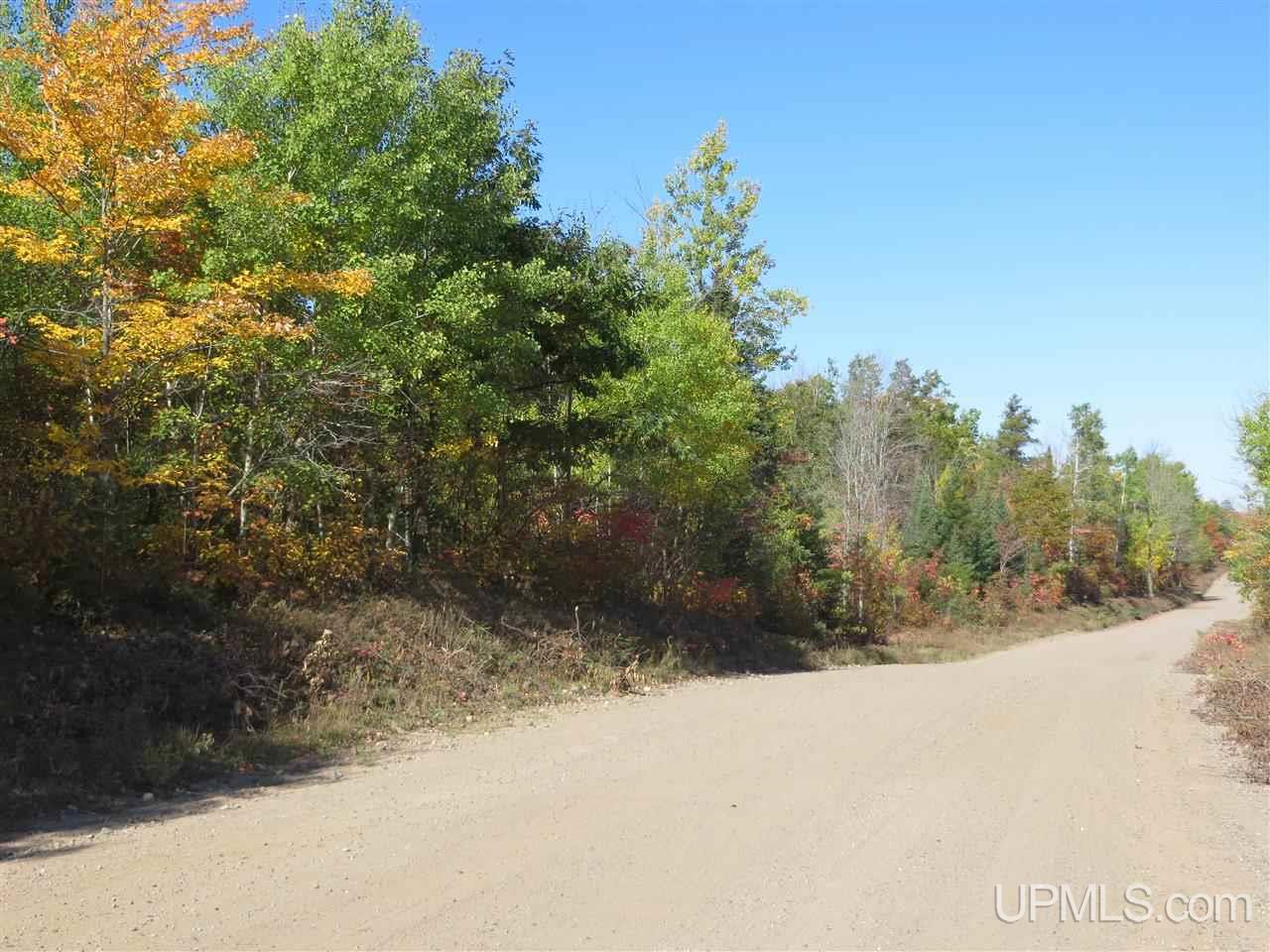 Tbd Co Rd Ff Republic, MI 49879 - Photo 19 of 29
