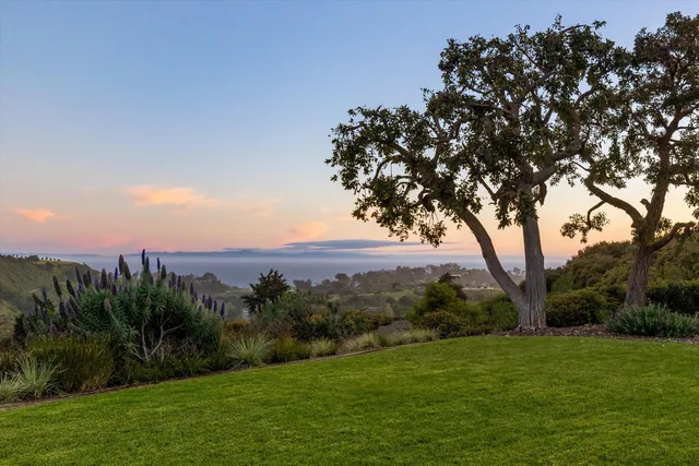 an aerial view of residential houses with outdoor space and trees