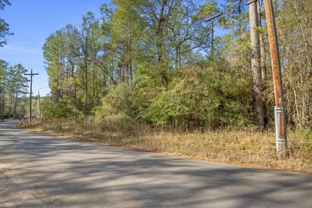 $2,350,000 | 201 Rd Plantersville Tx 77363 Road, Plantersville, TX 77363