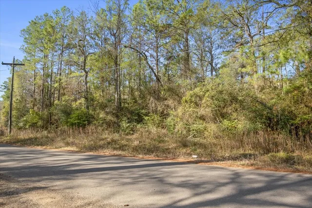 $2,350,000 | 201 Rd Plantersville Tx 77363 Road, Plantersville, TX 77363