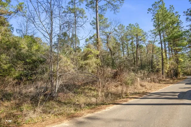 $2,350,000 | 201 Rd Plantersville Tx 77363 Road, Plantersville, TX 77363