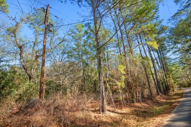 $2,350,000 | 201 Rd Plantersville Tx 77363 Road, Plantersville, TX 77363