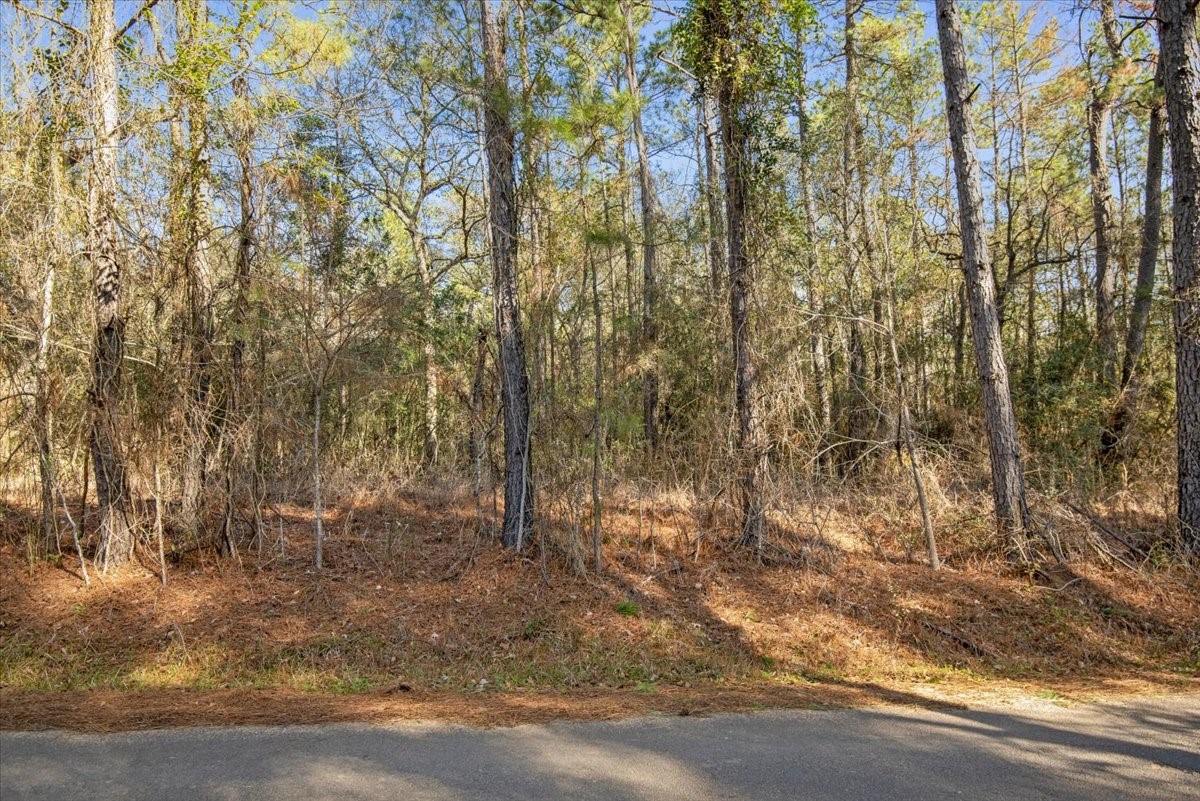 201 Rd Plantersville Tx 77363 Road Plantersville, TX 77363 - Photo 18 of 47