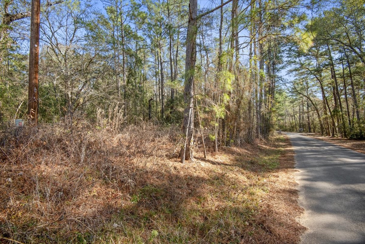 201 Rd Plantersville Tx 77363 Road Plantersville, TX 77363 - Photo 19 of 47