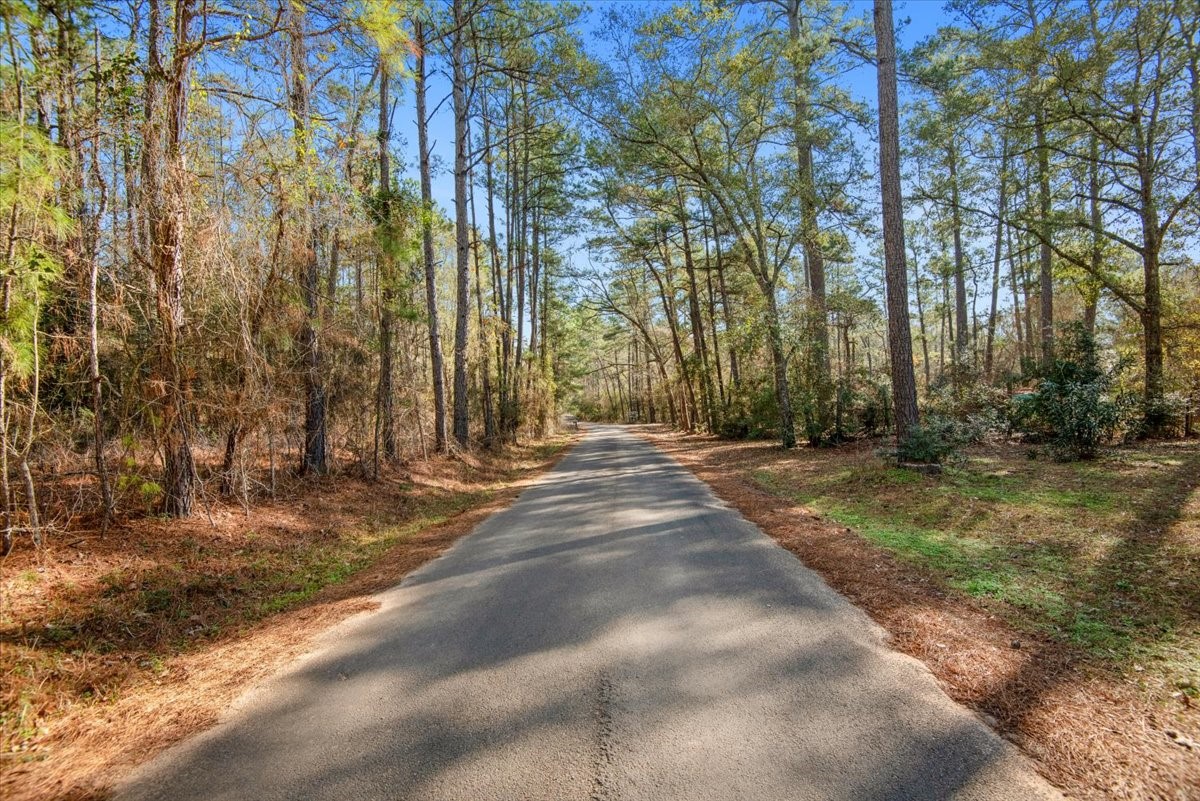 201 Rd Plantersville Tx 77363 Road Plantersville, TX 77363 - Photo 20 of 47