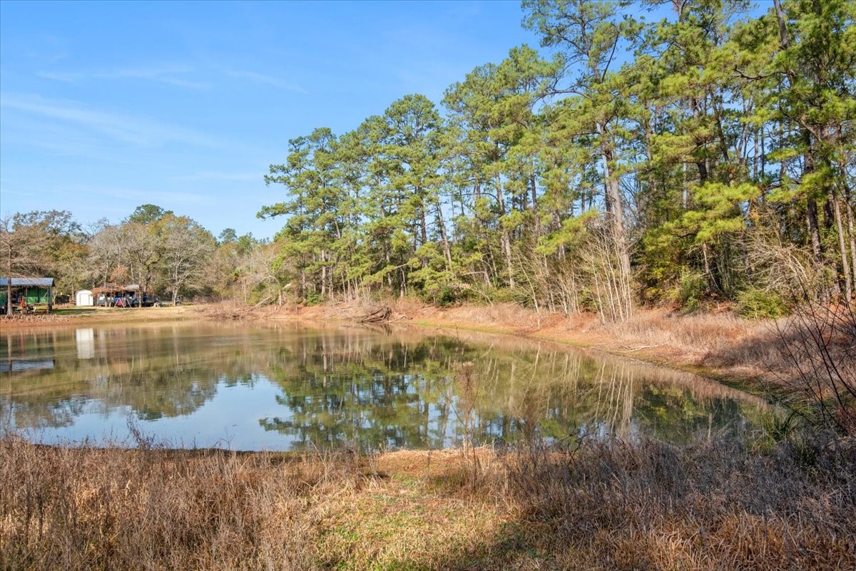 201 Rd Plantersville Tx 77363 Road Plantersville, TX 77363 - Photo 2 of 47 Subdivision Pond with walking trail