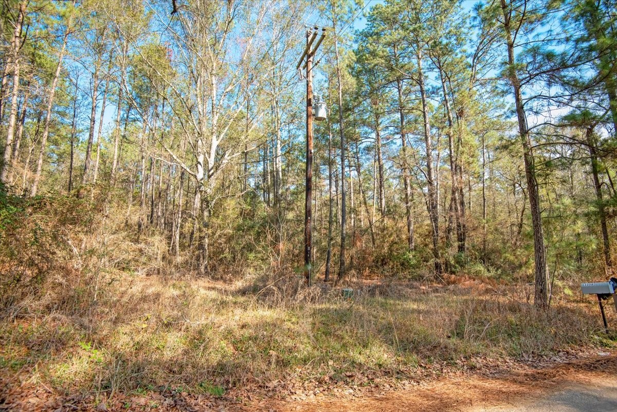 201 Rd Plantersville Tx 77363 Road Plantersville, TX 77363 - Photo 21 of 47