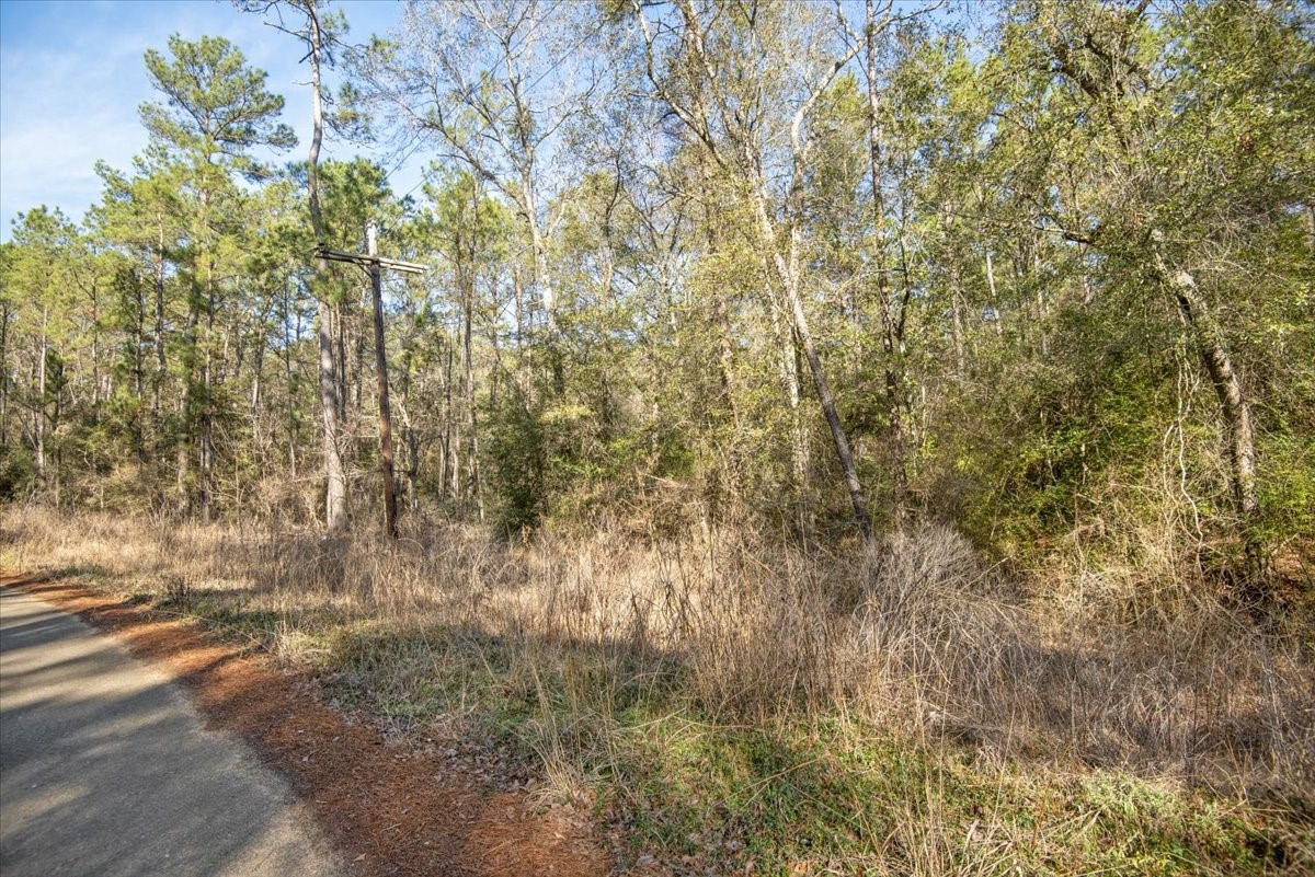 201 Rd Plantersville Tx 77363 Road Plantersville, TX 77363 - Photo 23 of 47