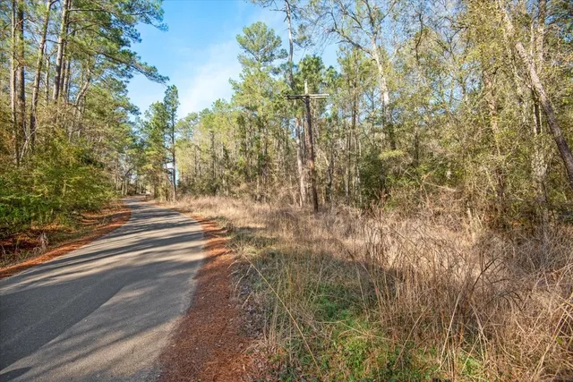 $2,350,000 | 201 Rd Plantersville Tx 77363 Road, Plantersville, TX 77363